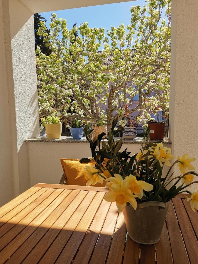 Apartman Soto Pirovac Ngoại thất bức ảnh